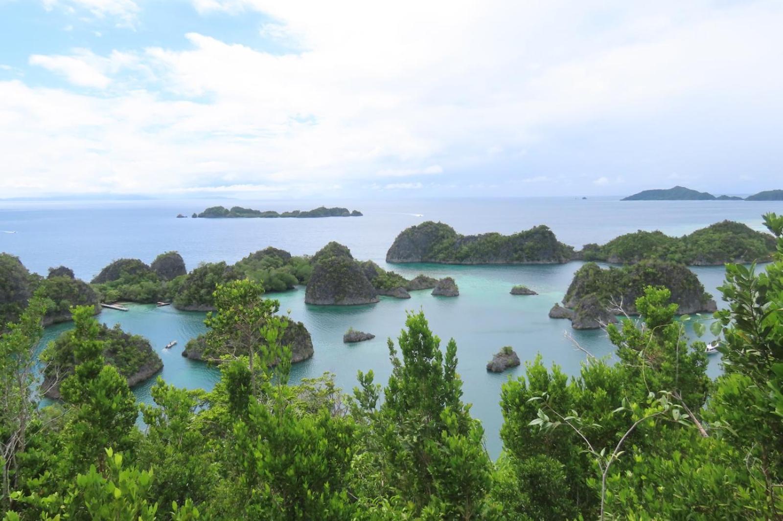 Nyanse Homestay - Raja Ampat بصير المظهر الخارجي الصورة
