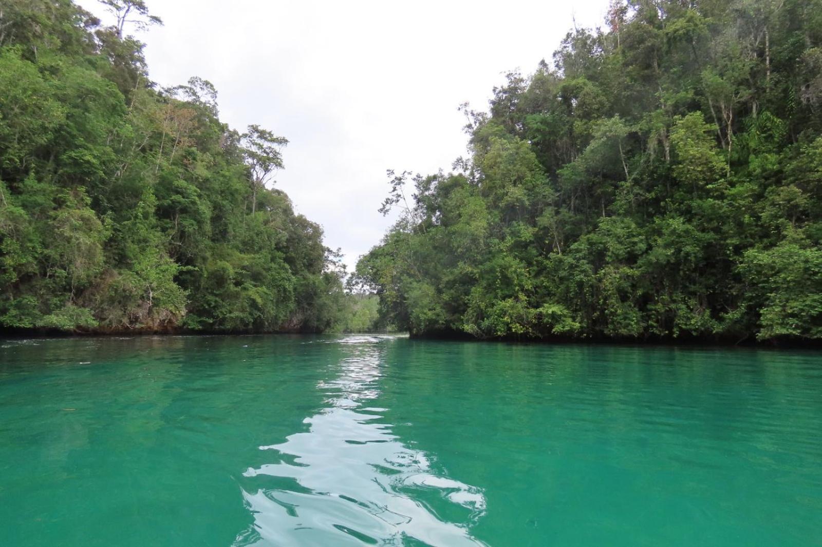 Nyanse Homestay - Raja Ampat بصير المظهر الخارجي الصورة